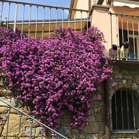 Vakantiehuis Garbella *